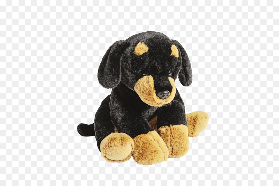 Rottweiler，Chiot PNG