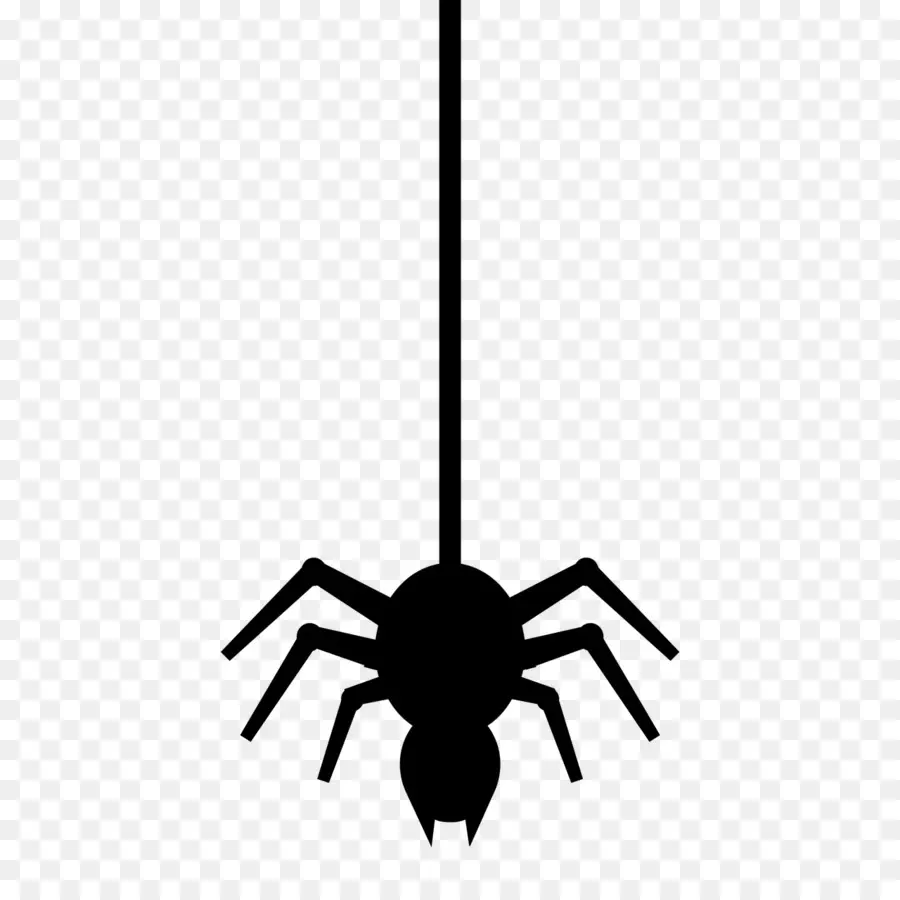 Araignée，Toile D'araignée PNG