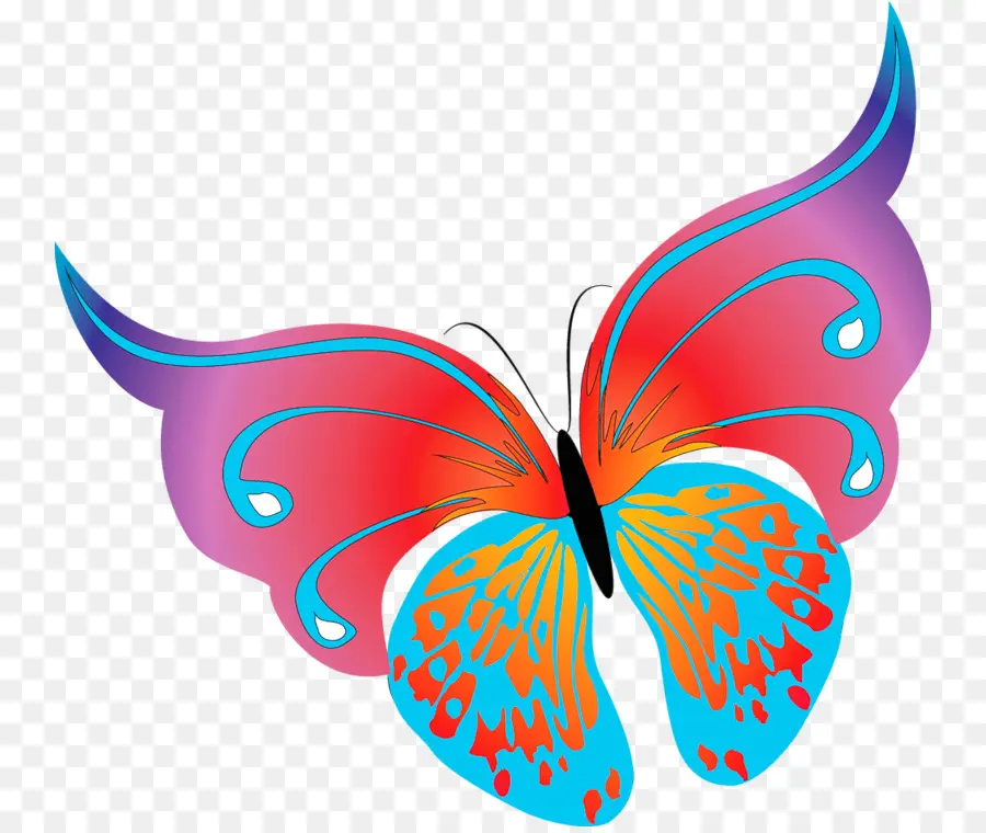Papillon，Télécharger PNG