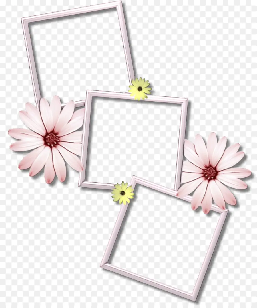 Cadres Photo，Fleurs PNG