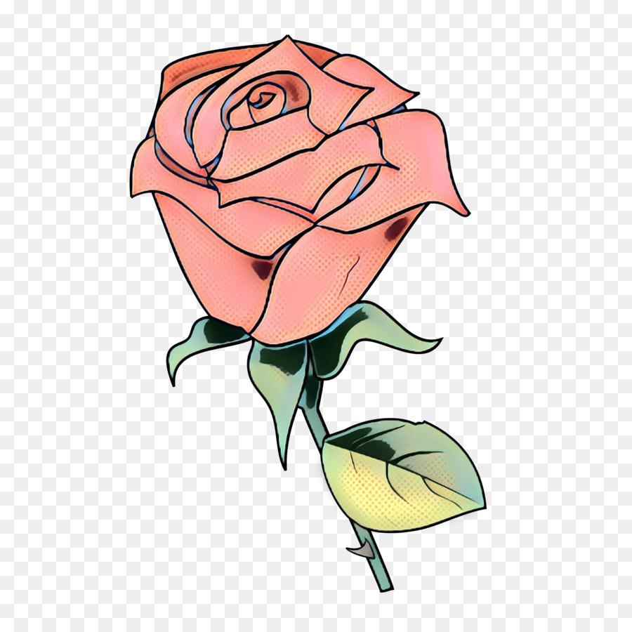 Roses，Floraison PNG