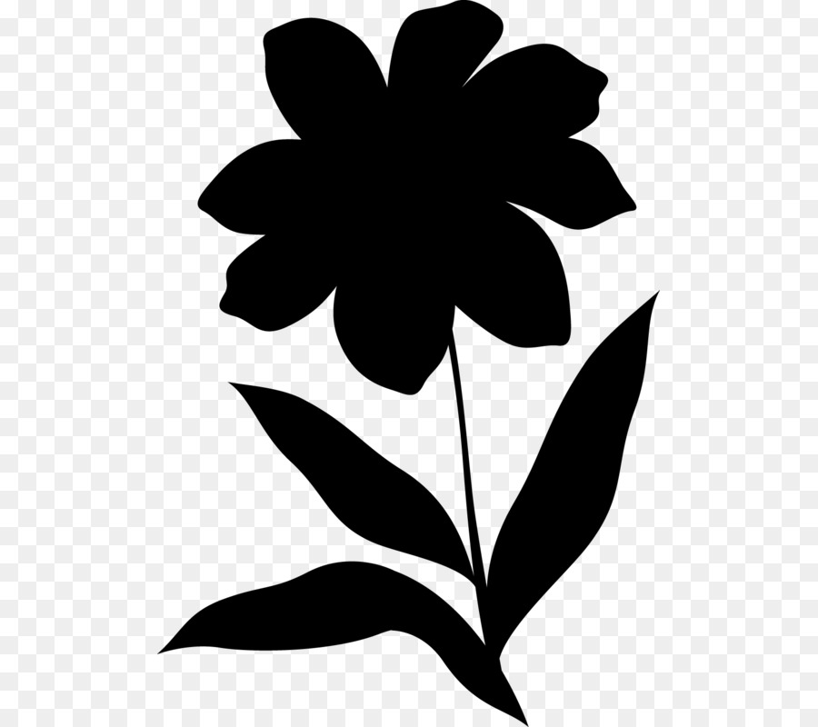 Fleur Noire，Usine PNG