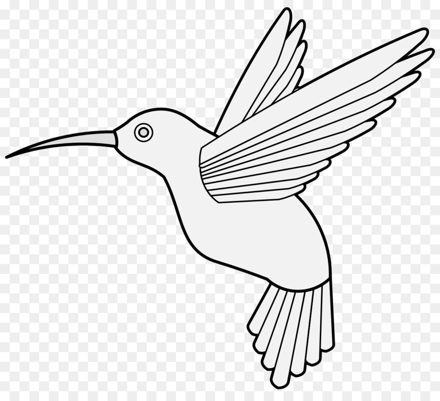 Colibri，Aile PNG