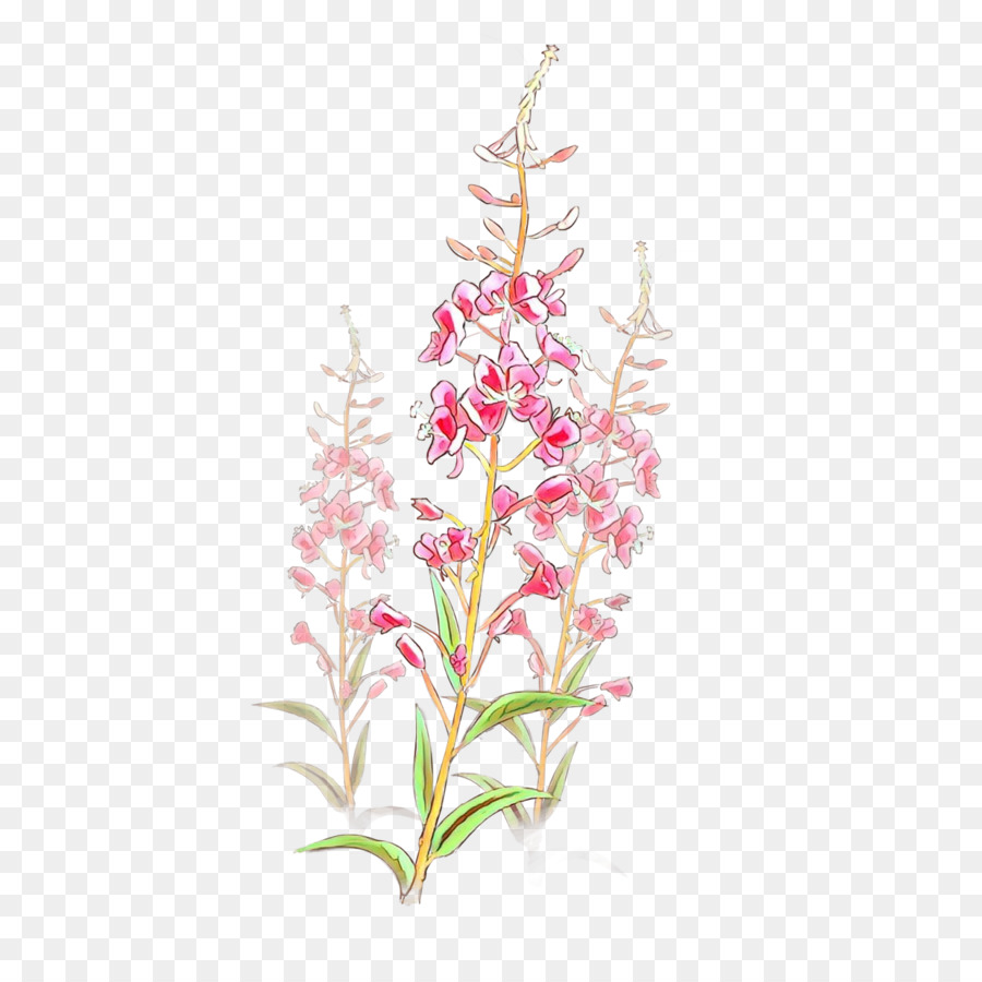 Les Fleurs Coupées，Design Floral PNG