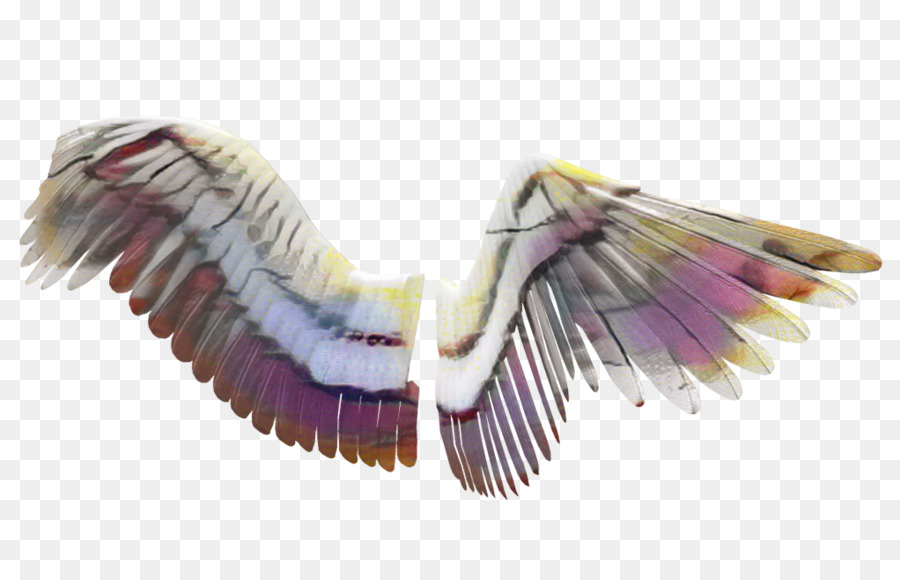 Cigogne Volante，Ailes PNG