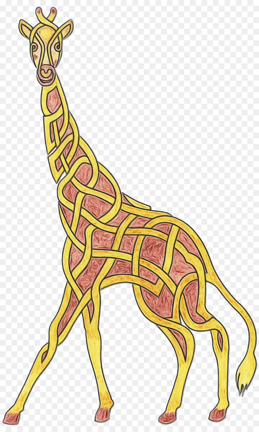 Girafe，Faune PNG