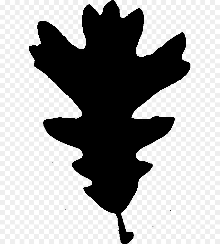 Arbre，Noir Blanc M PNG