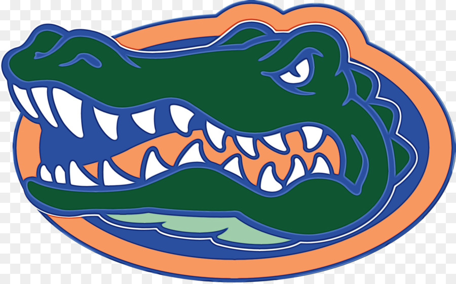 L'université De La Floride，Florida Gators De Football PNG