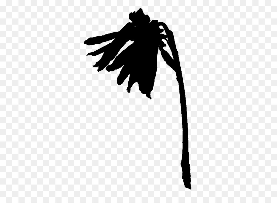 Silhouette De Plante，Feuilles PNG