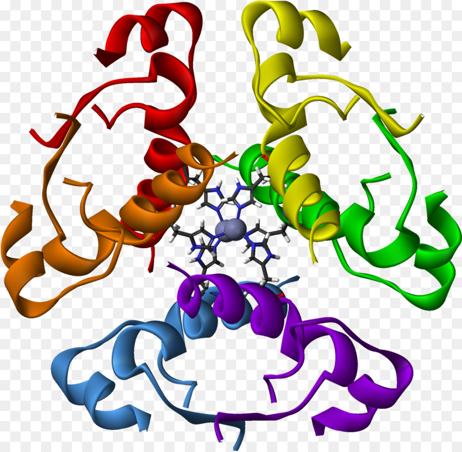 Structure Des Protéines，Molécule PNG