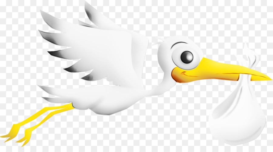 Canard，Cygnes PNG