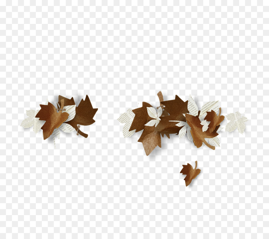 Feuilles Séchées，Automne PNG