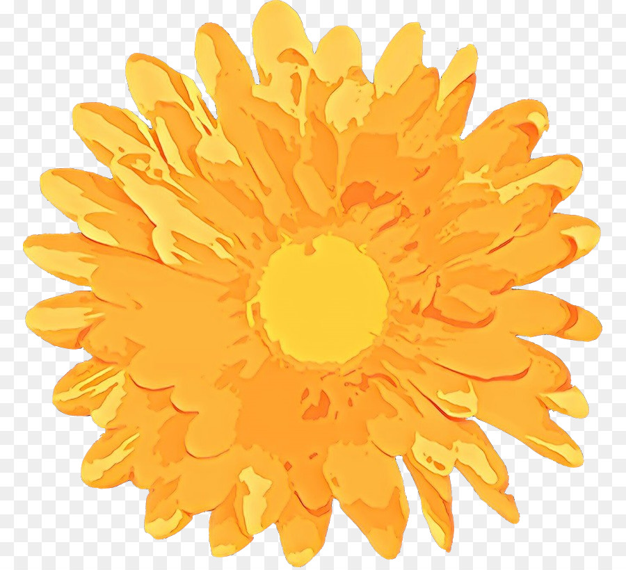 Fleur，Chrysanthème PNG