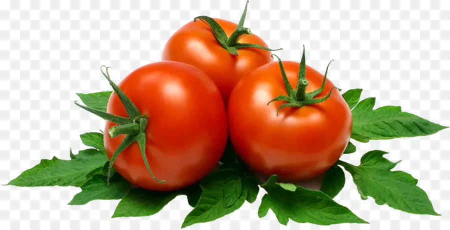 Tomates Rouges，Feuilles Vertes PNG