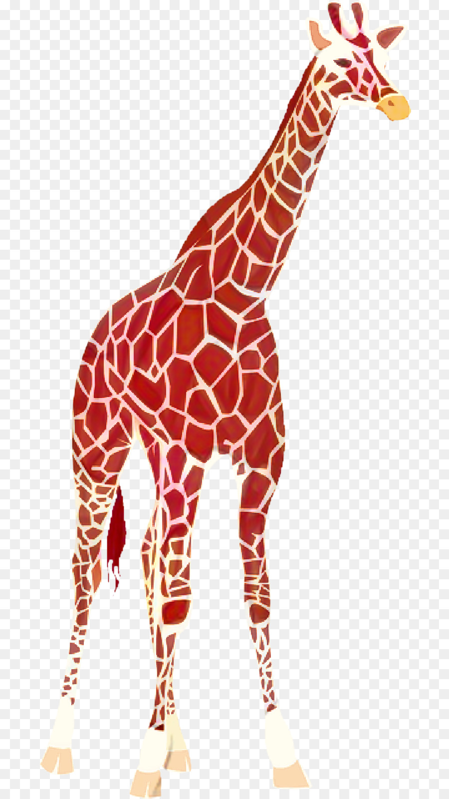 Girafe，Faune PNG