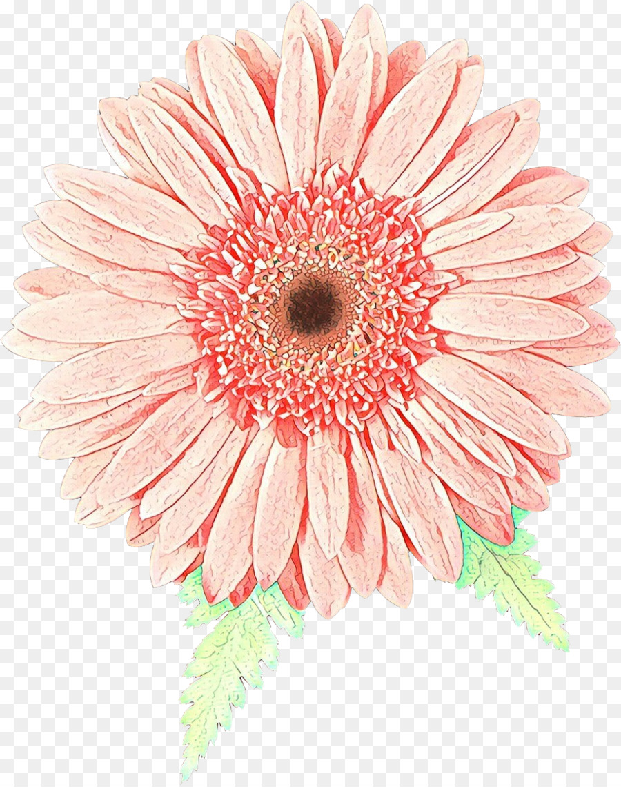 Fleur Rose，Floraison PNG