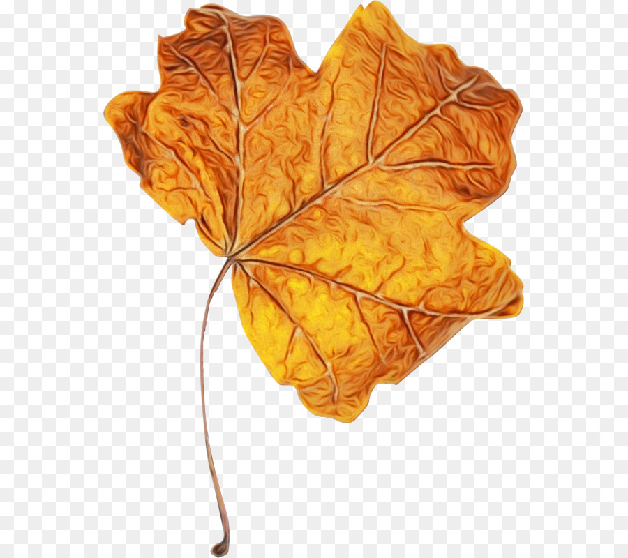 Feuilles Jaunes，Automne PNG