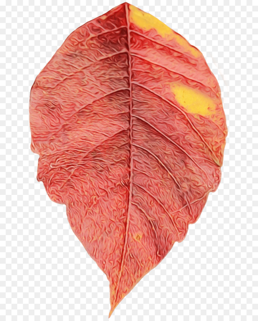 Feuille， PNG