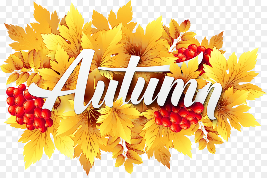 Feuilles D'automne，Feuilles PNG