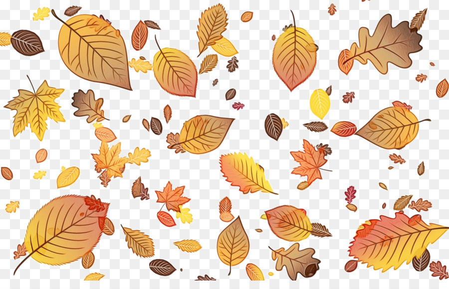 Feuilles D'automne，Automne PNG