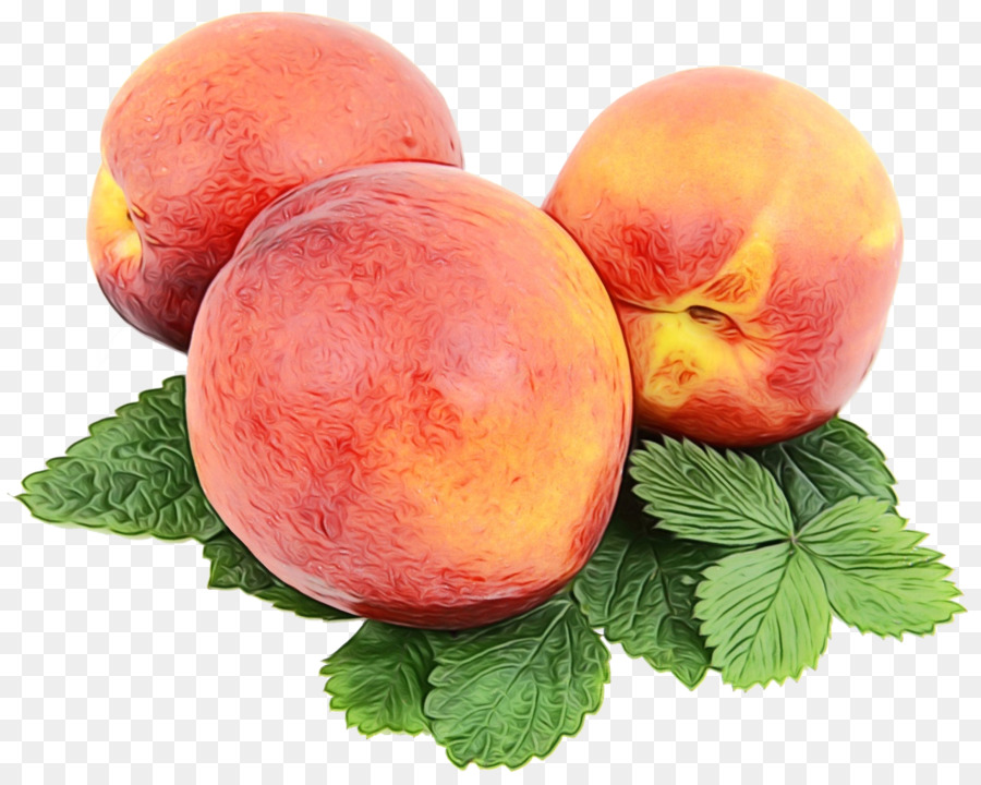 Nectarines，Frais PNG