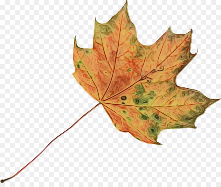 Feuille Rouge，Automne PNG