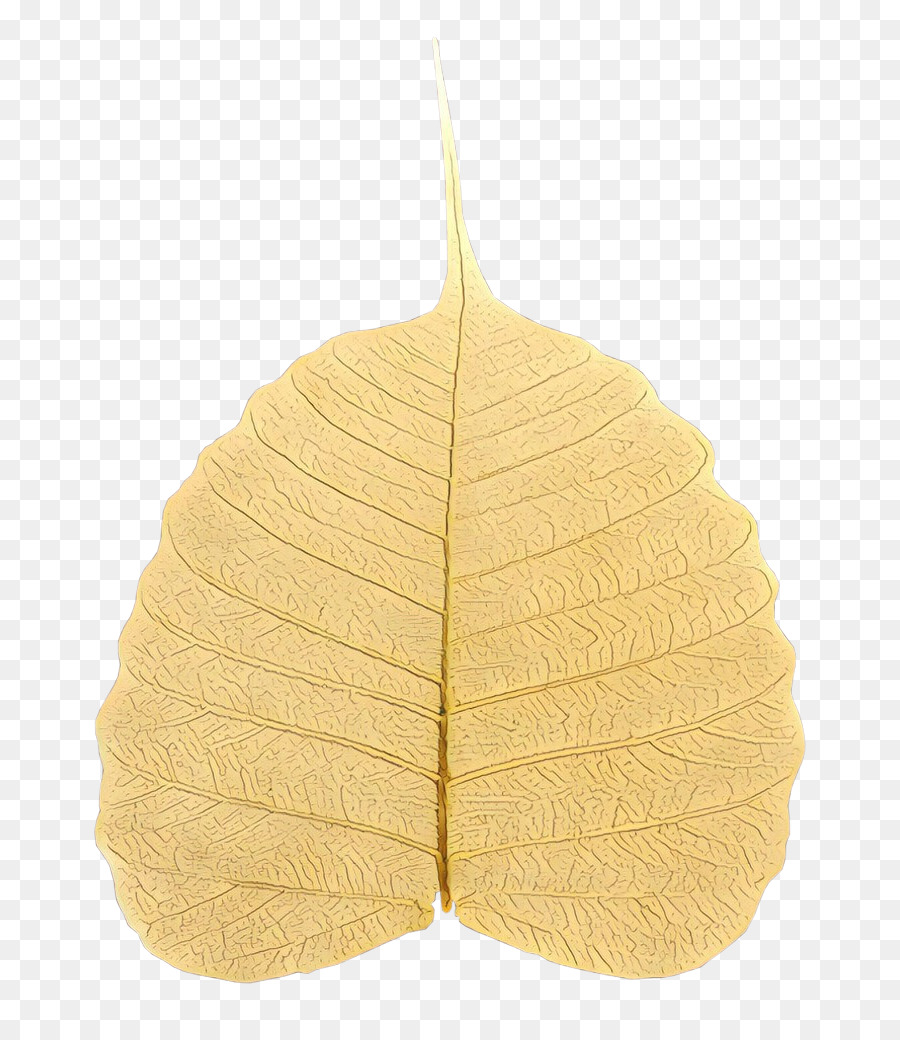 Feuilles Jaunes，Automne PNG