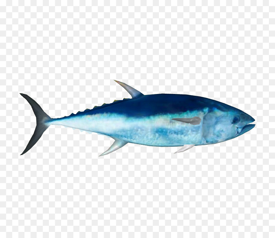 Poisson，Fruit De Mer PNG