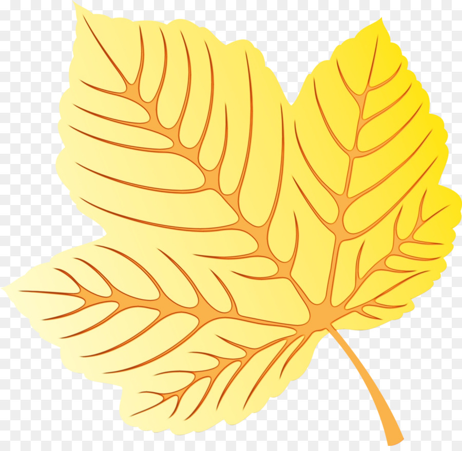 Feuille Jaune，Bifurquer PNG