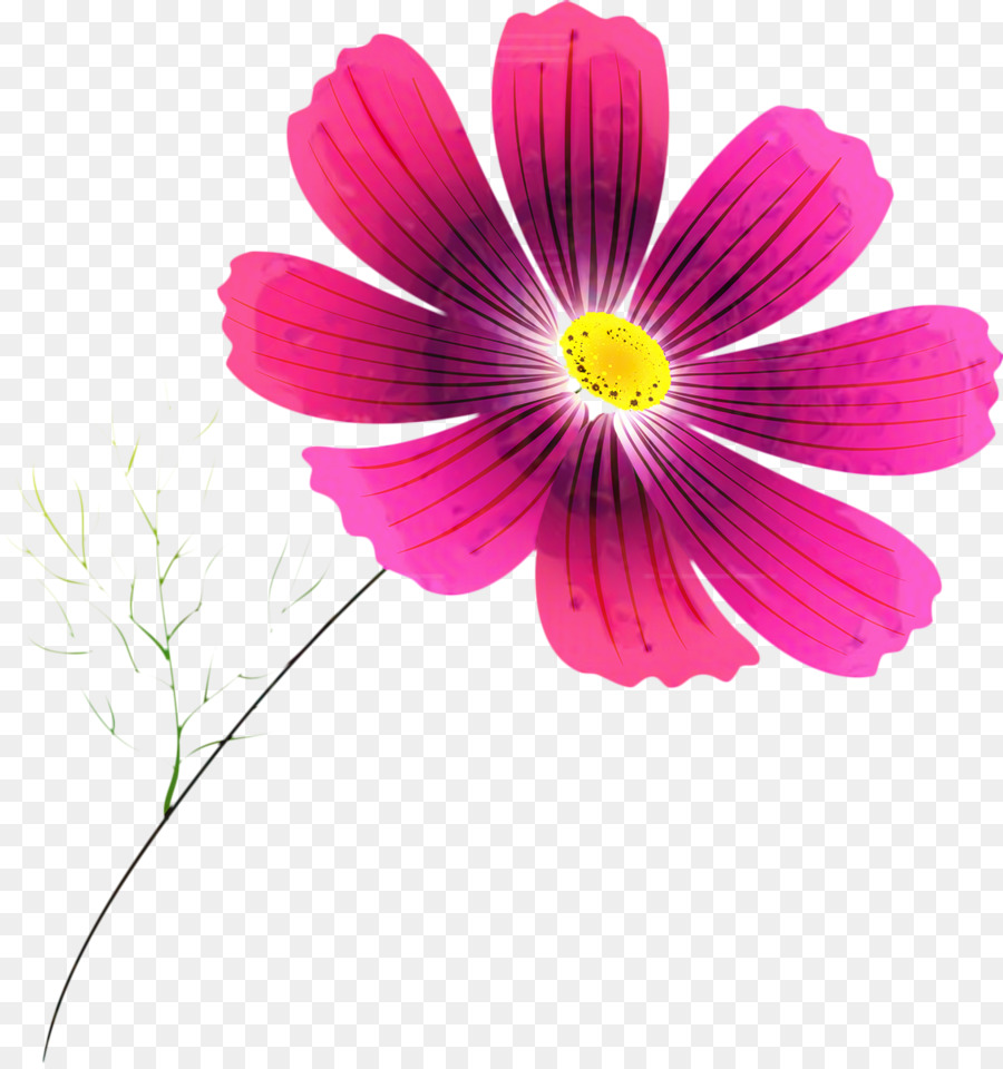 Fleur Rose，Floraison PNG