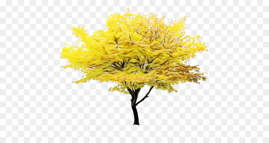 Arbre，L'automne PNG