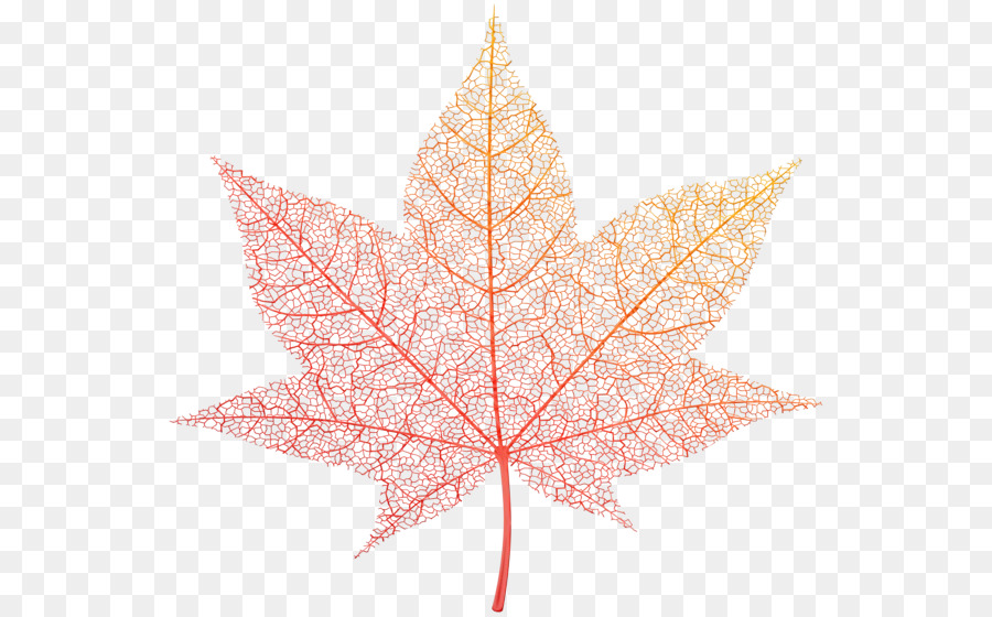 Feuille，Automne PNG