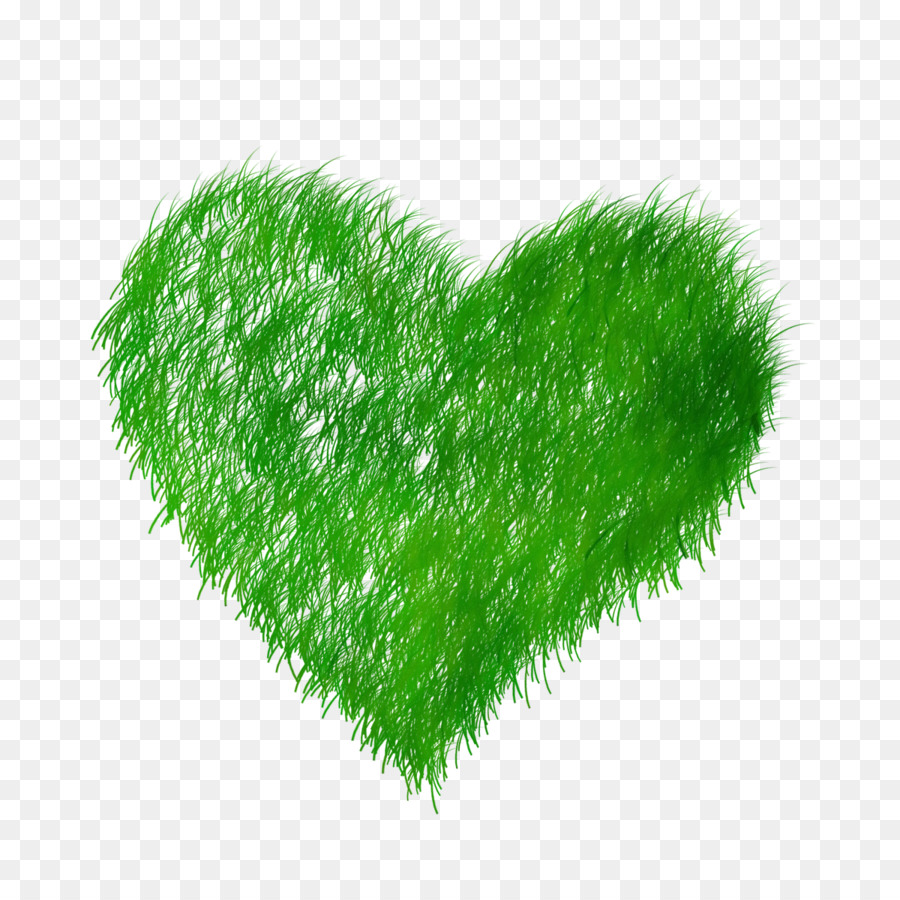 Coeur Vert，Amour PNG