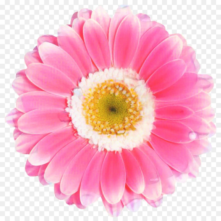 Fleur，Floraison PNG