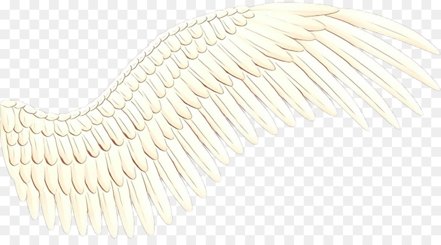 Ailes D'ange，Plumes PNG