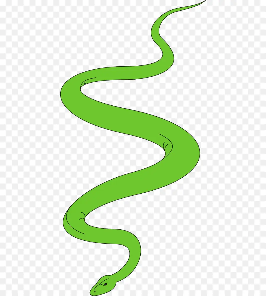 Serpent Vert，Reptile PNG