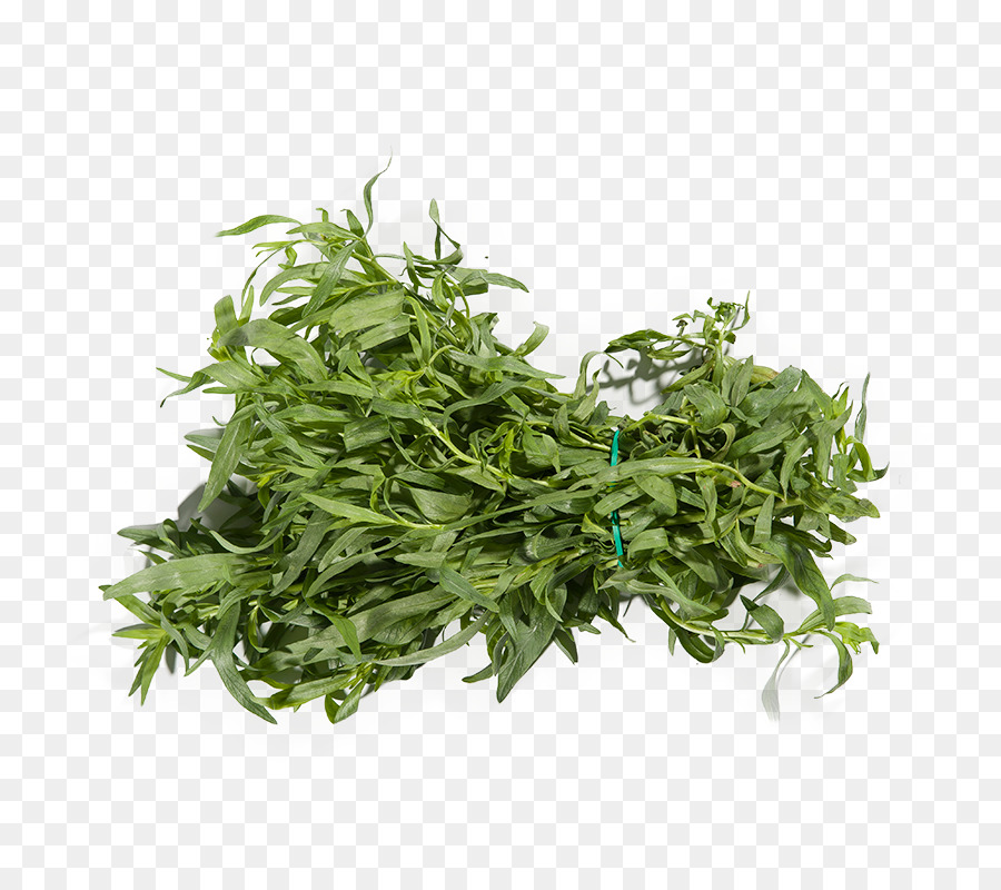 Sarriette，Herbe PNG