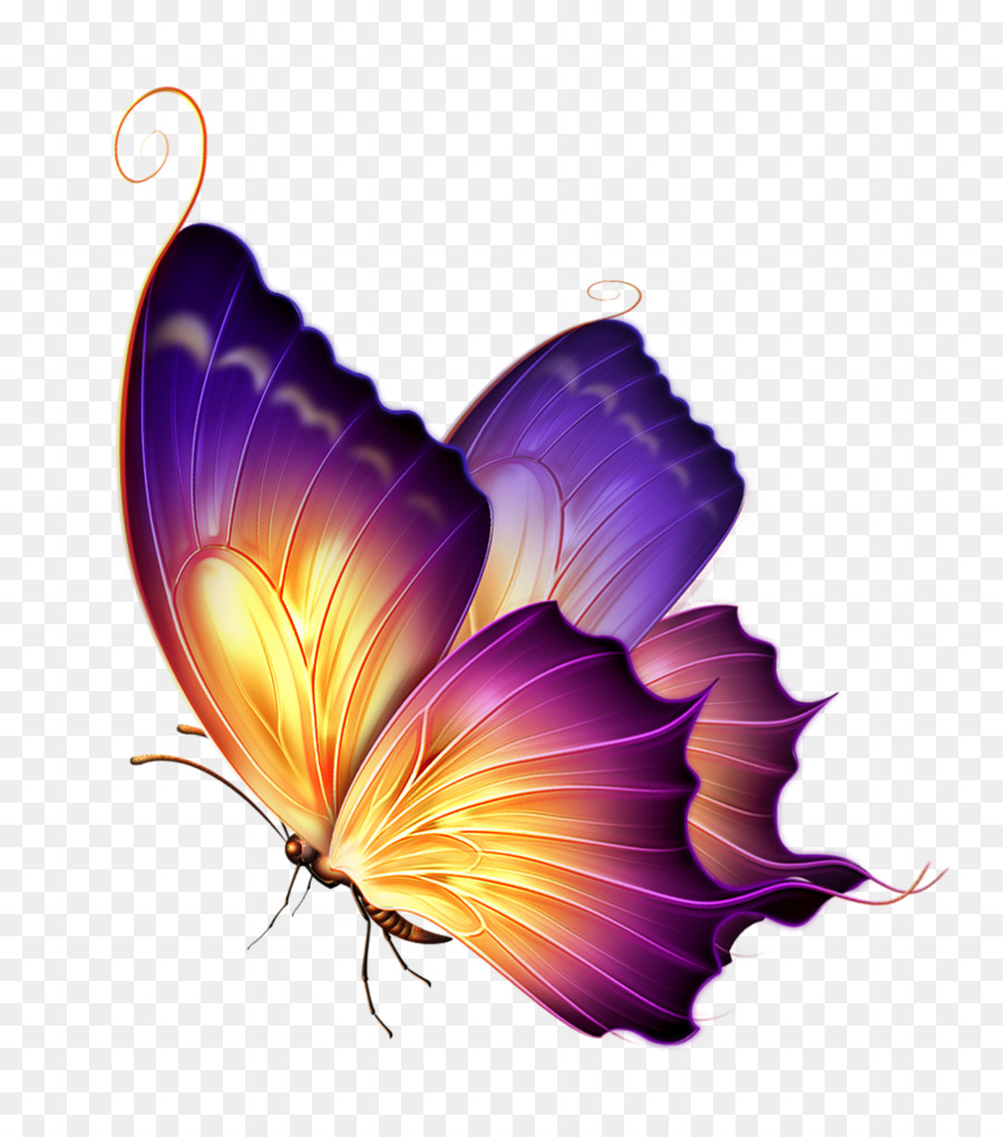 Papillon，Papillon De Verre PNG
