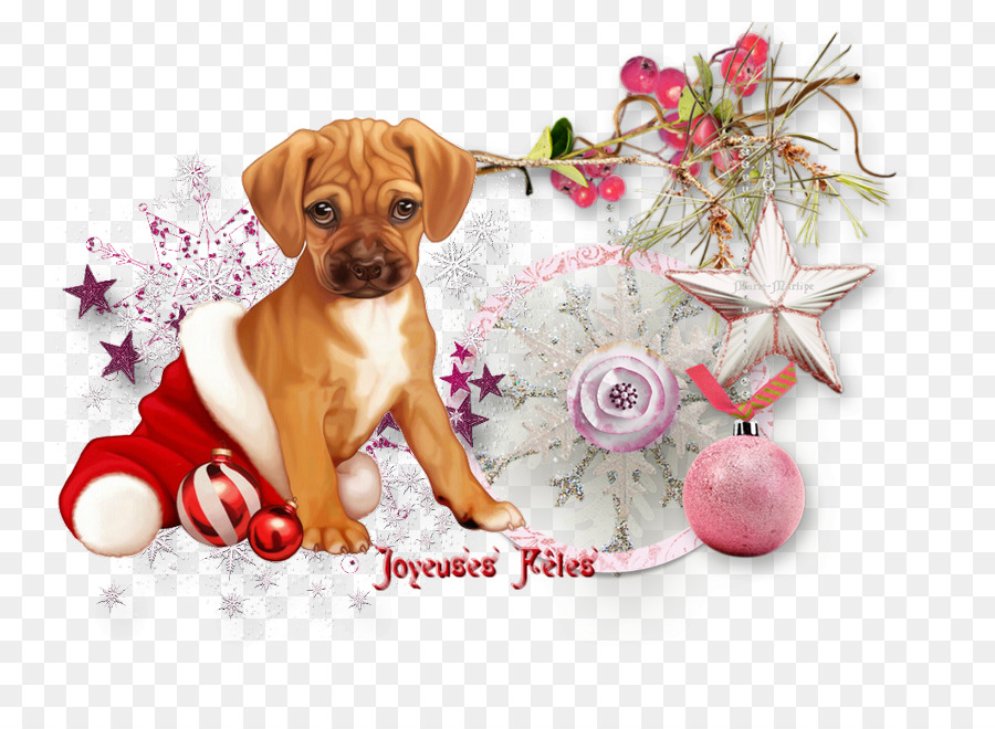 Le Père Noël，Rhodésien Ridgeback PNG