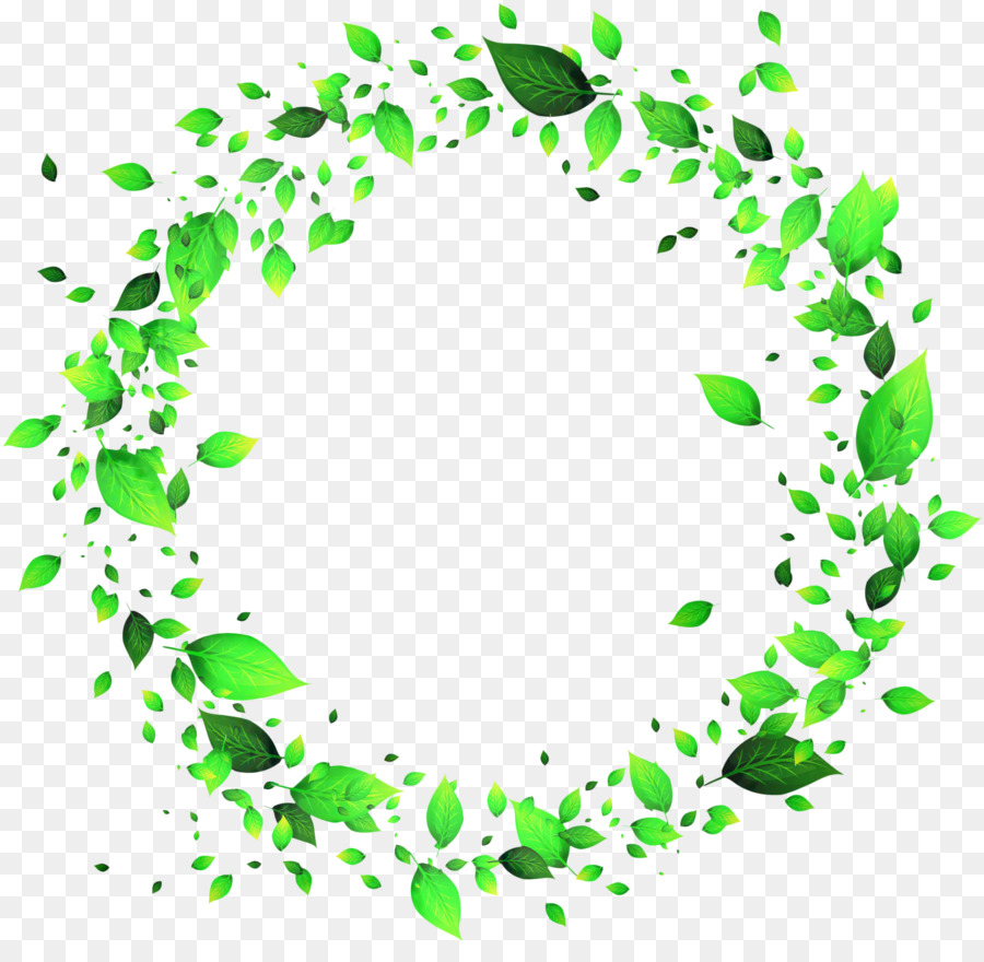 Cercle Vert，Feuilles PNG