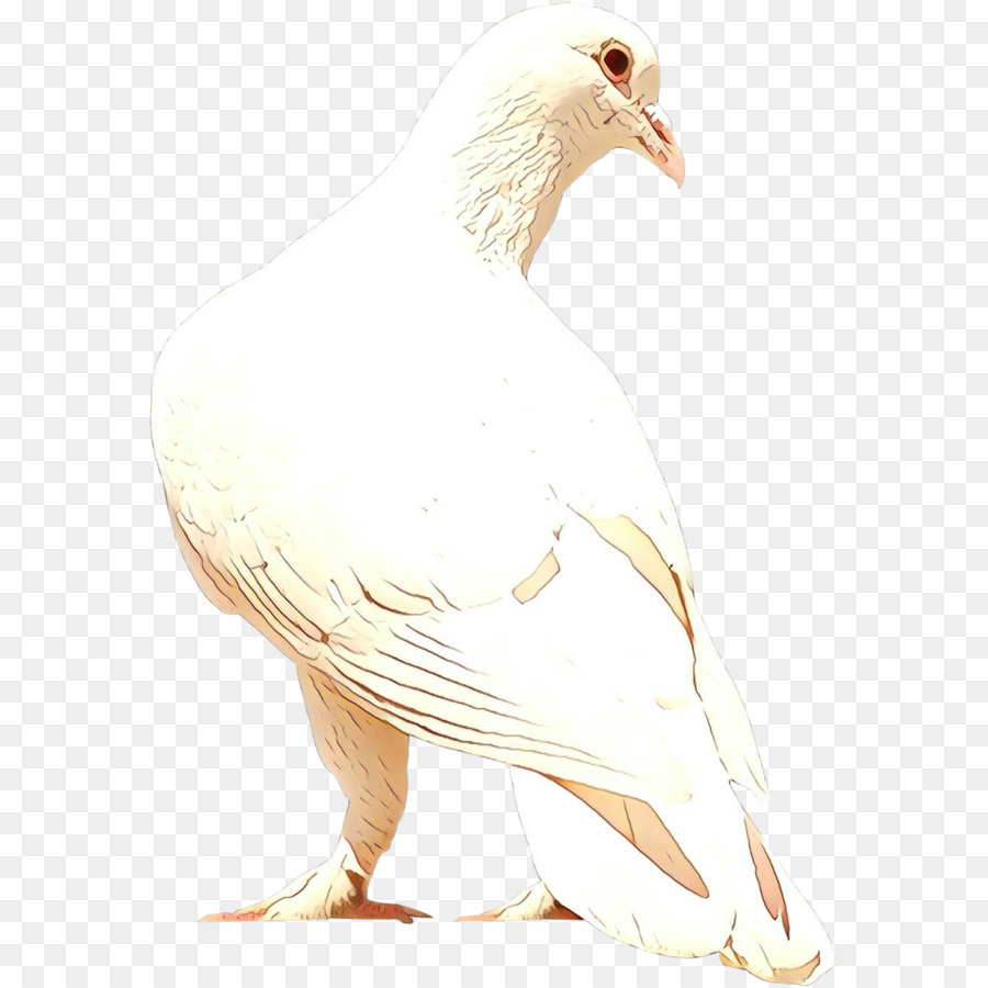 Bec，Cygnes PNG