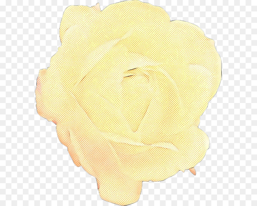 Rose Blanche，Floraison PNG