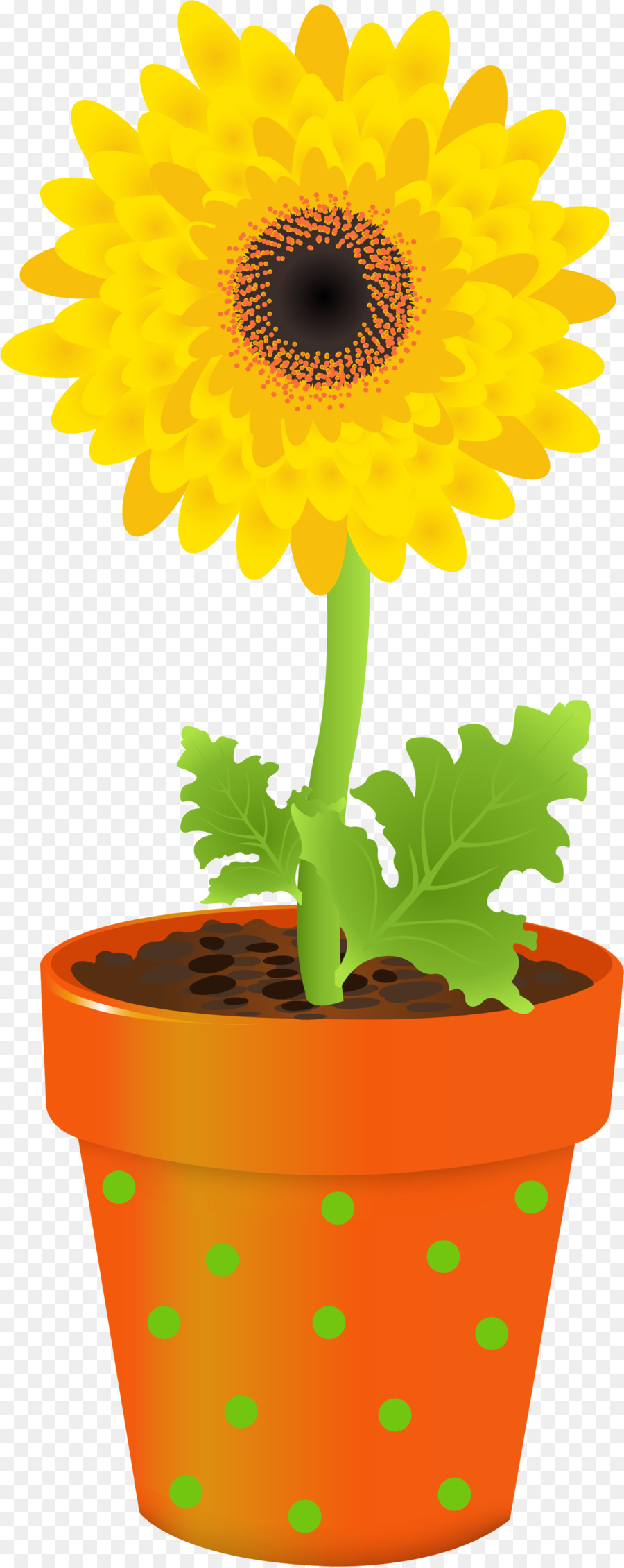 Fleur En Pot，Fleur Rouge PNG