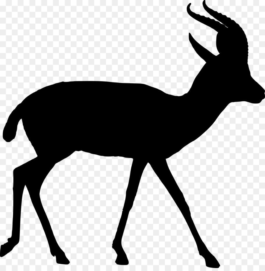 Antilope，Silhouette PNG