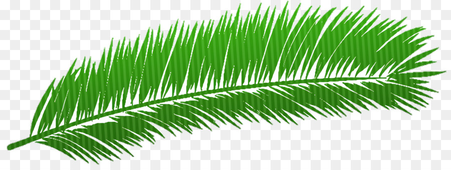 Plume Verte，Feuille PNG