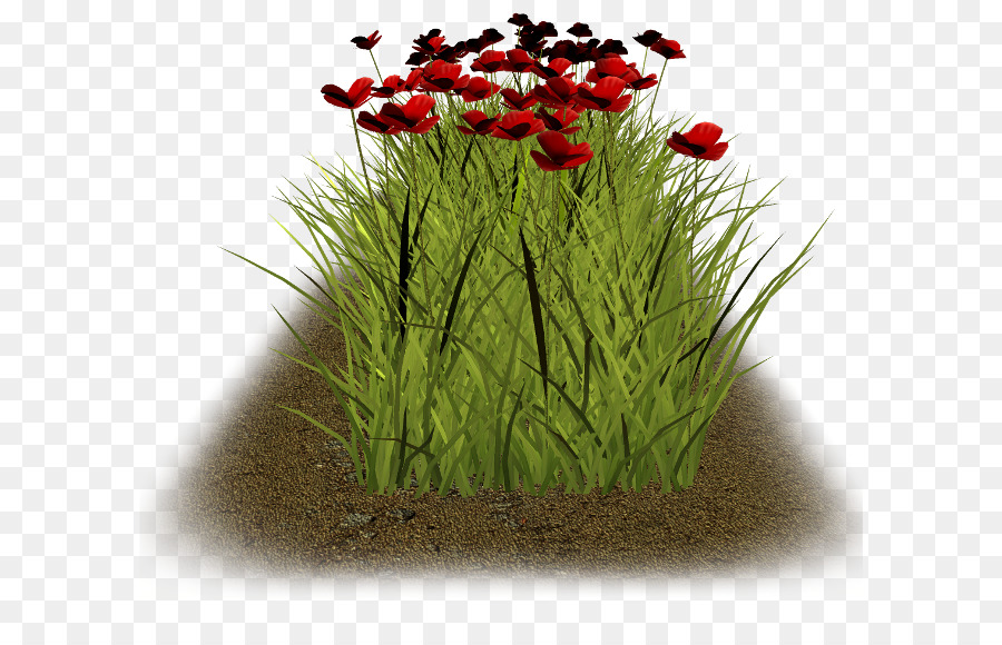 Fleurs，Herbe PNG