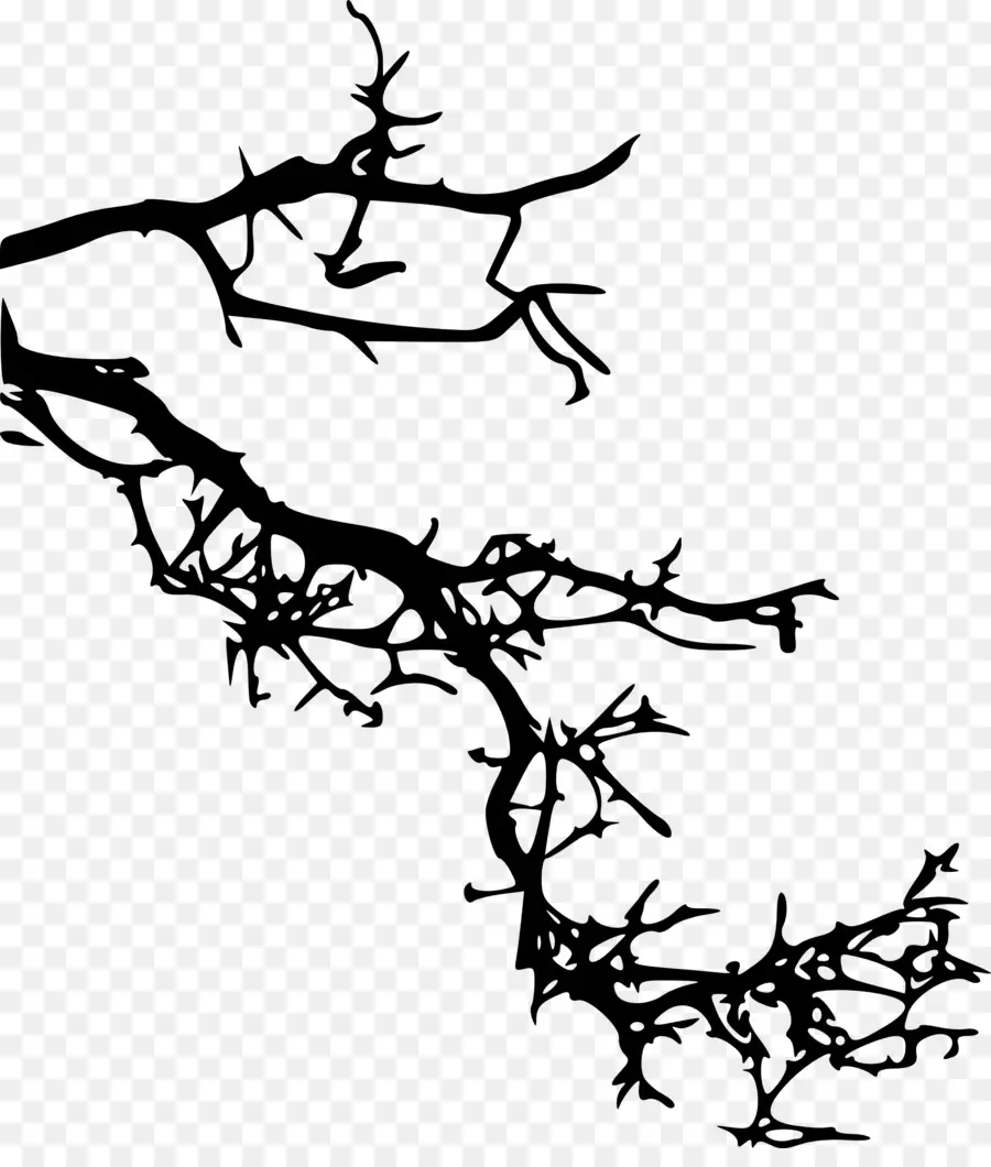 Branche，Silhouette PNG