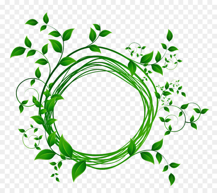 Cercle Vert，Feuilles PNG