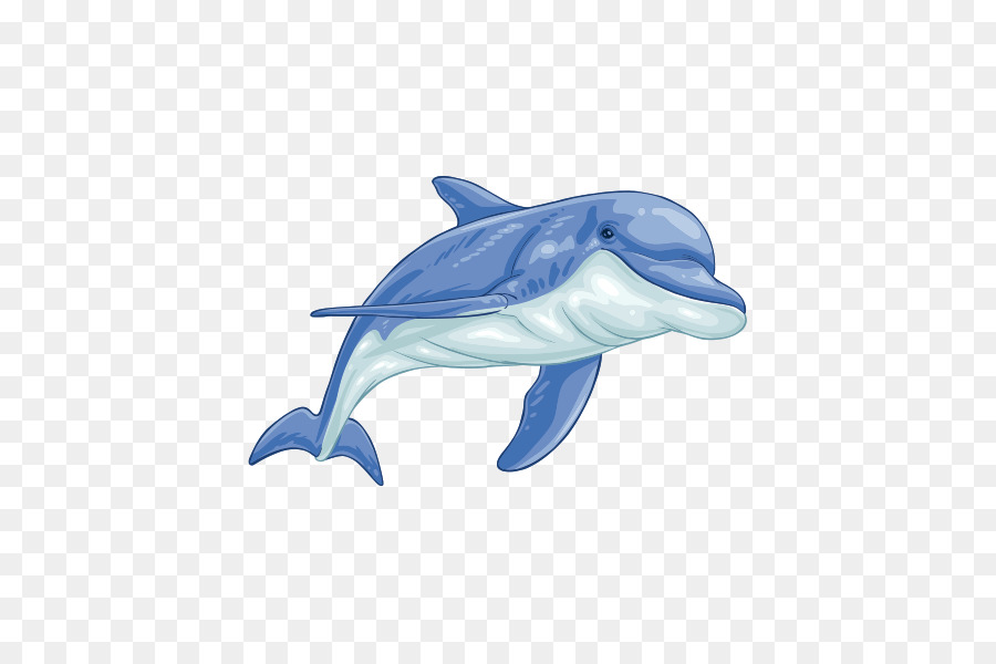 Dauphins De Dessin Animé，Marin PNG