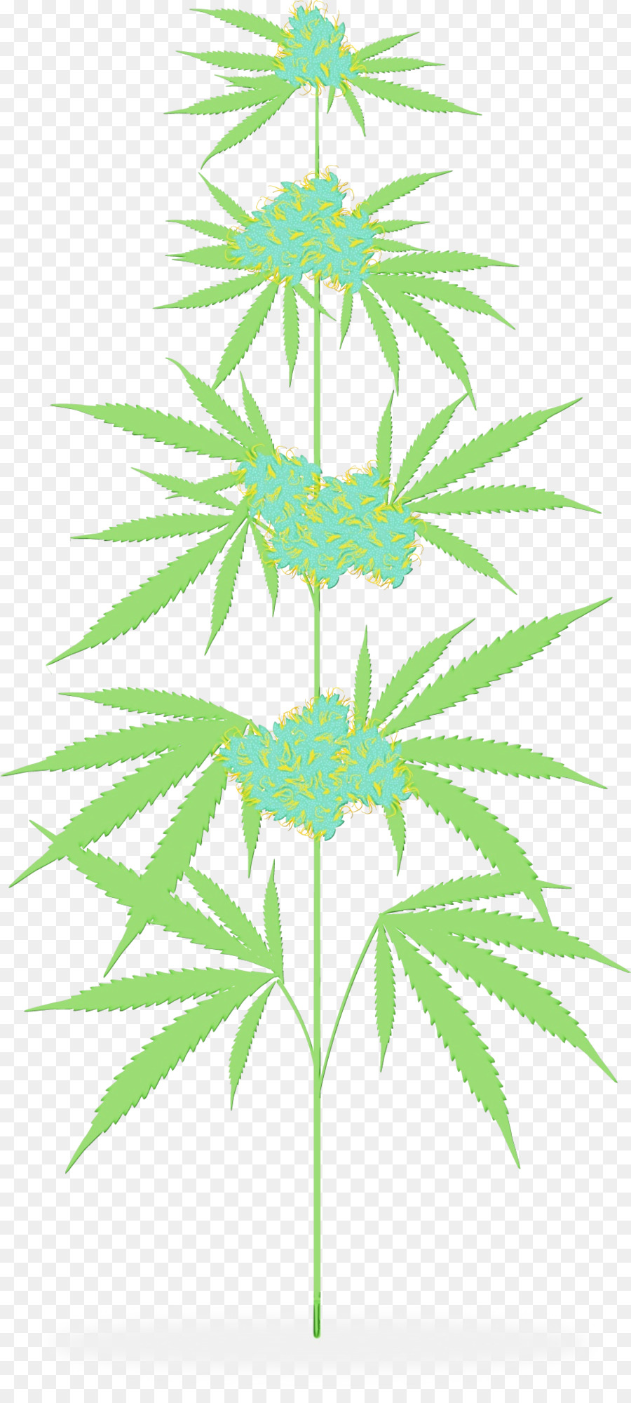 Le Cannabis，Tige De La Plante PNG